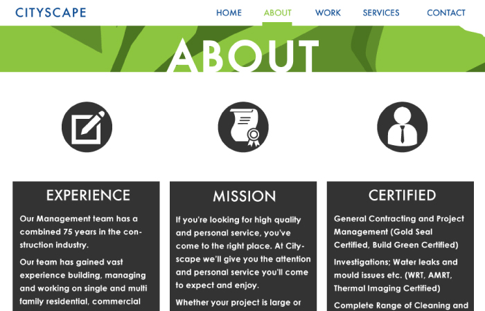 Camran Ehsani - Cityscape About Page