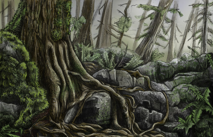 Camran Ehsani - Minnekhada Park Environment Study