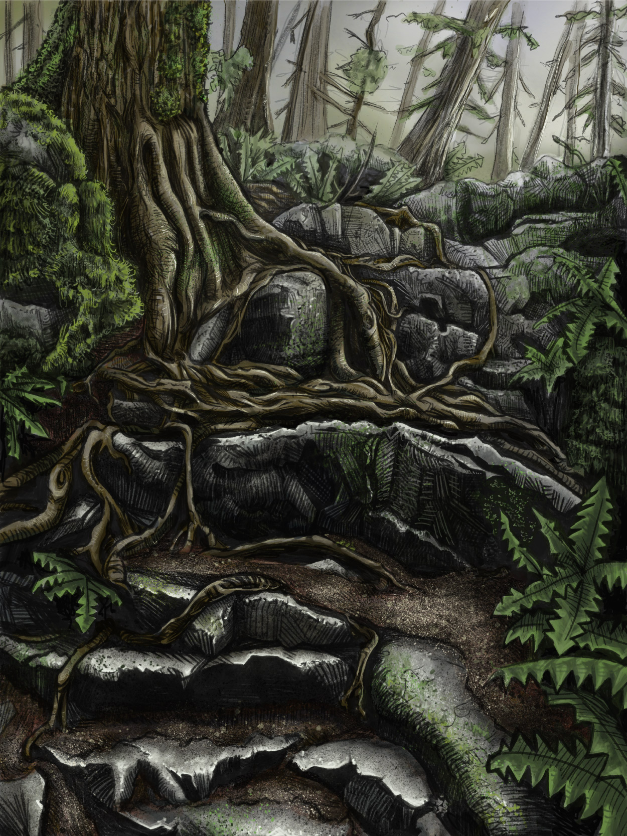 Camran Ehsani - Minnekhada Park Study